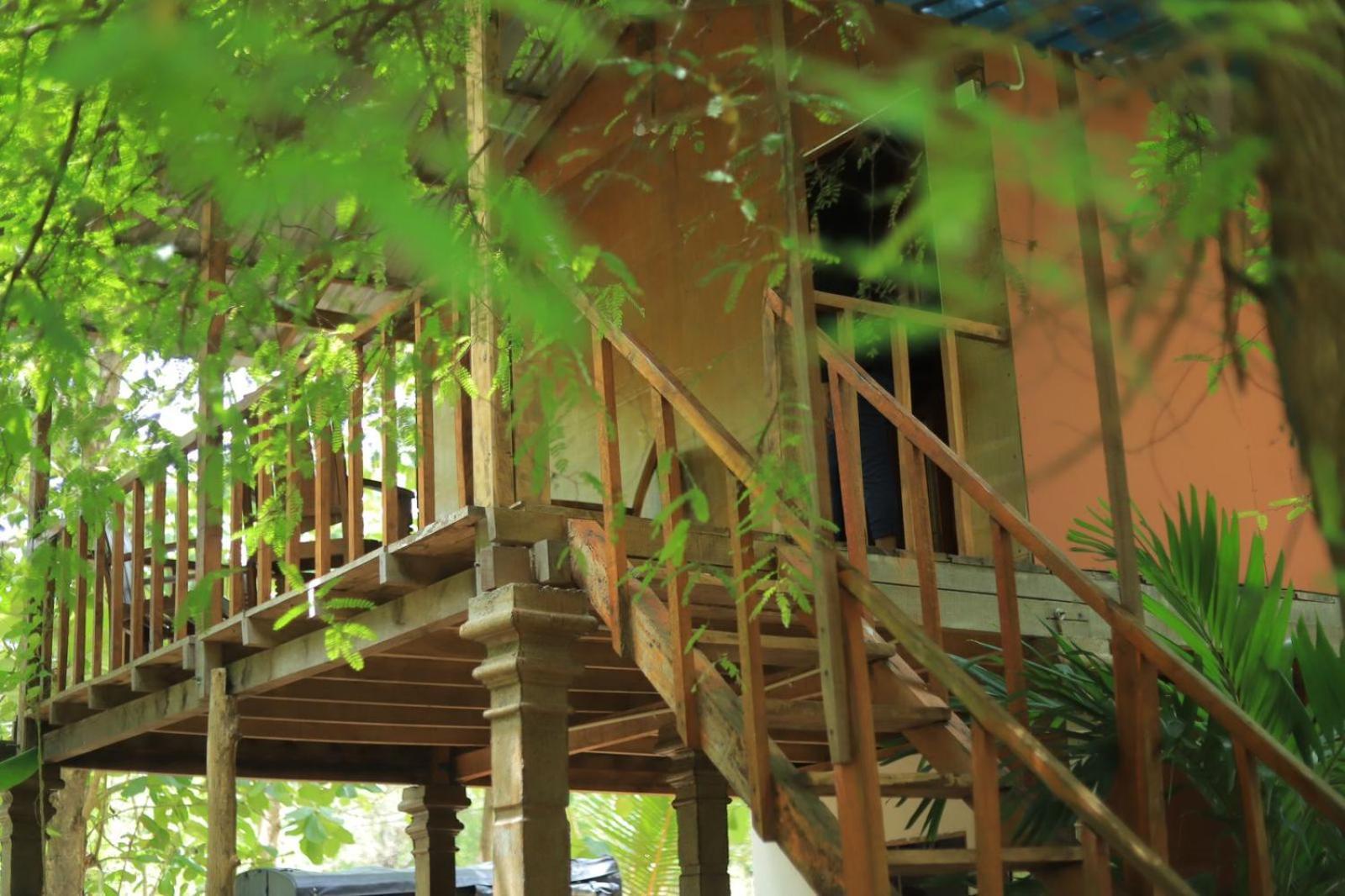 Sigiriya Free View Tree House & Villa מראה חיצוני תמונה