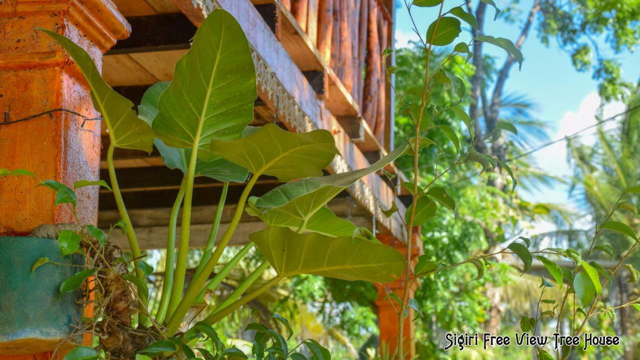 Sigiriya Free View Tree House & Villa מראה חיצוני תמונה