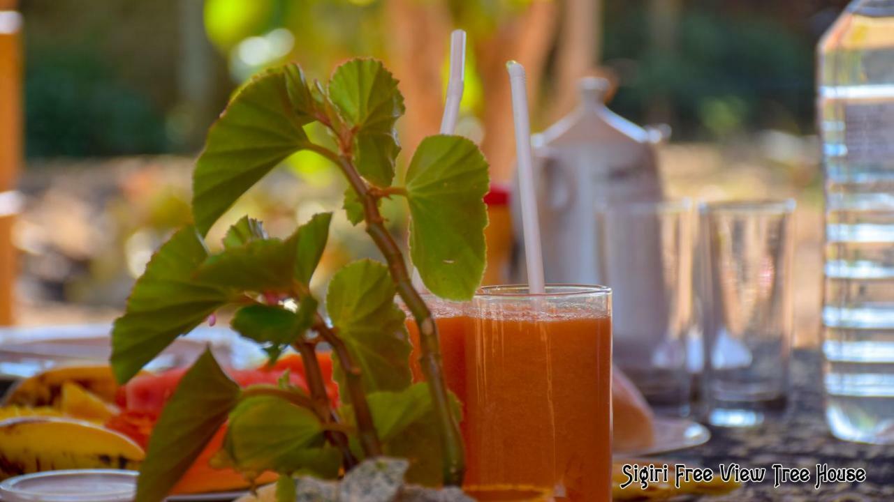 Sigiriya Free View Tree House & Villa מראה חיצוני תמונה