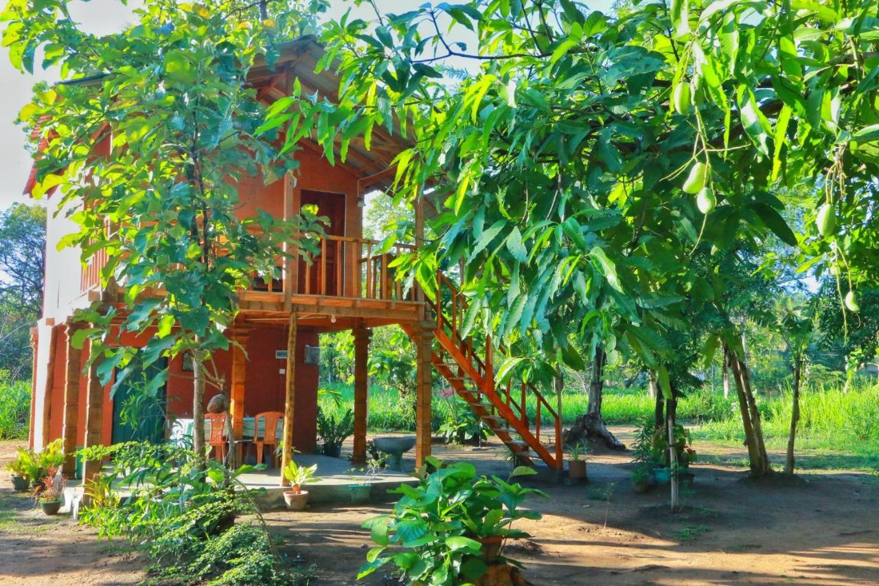 Sigiriya Free View Tree House & Villa מראה חיצוני תמונה