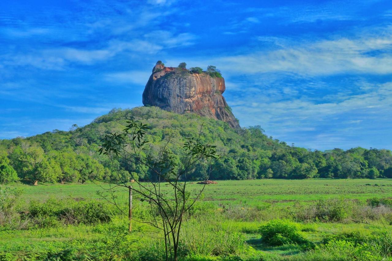 Sigiriya Free View Tree House & Villa מראה חיצוני תמונה
