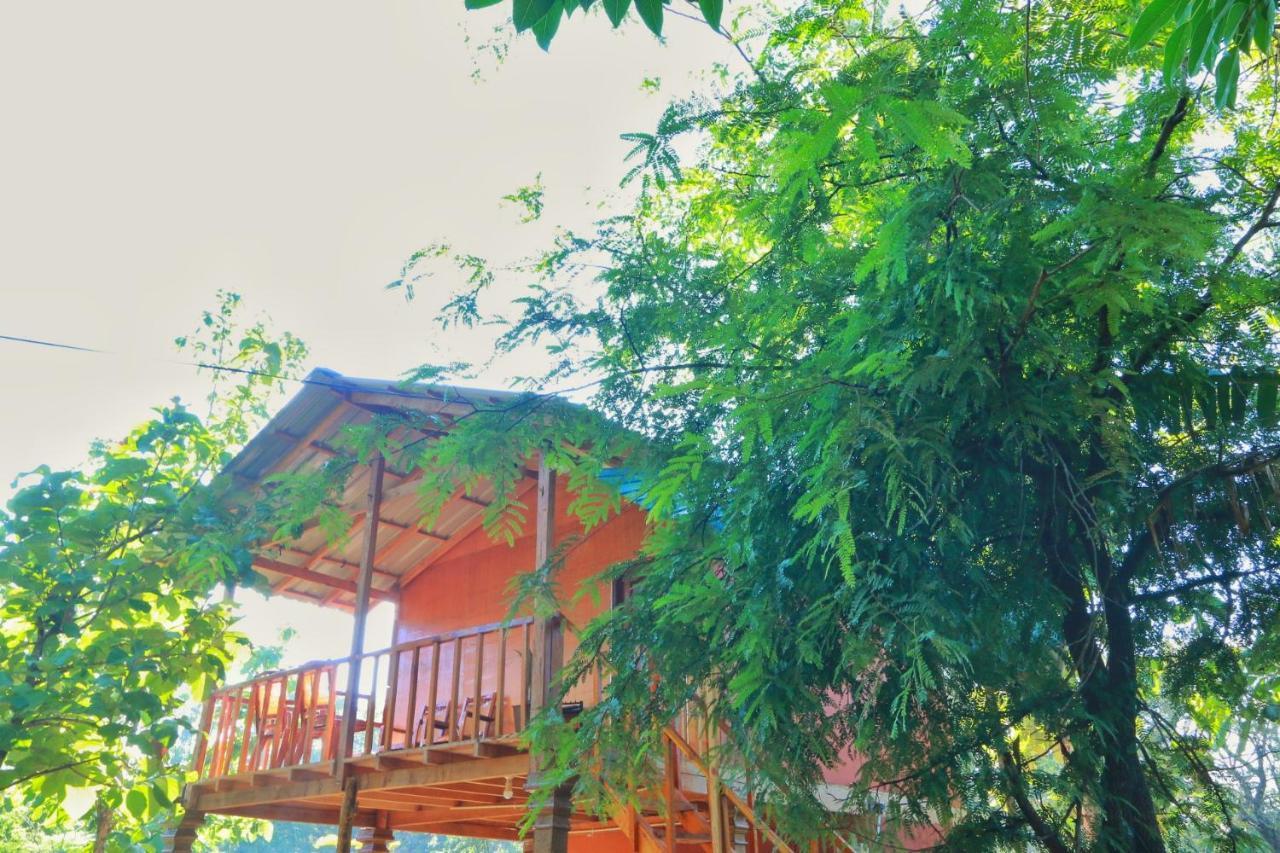 Sigiriya Free View Tree House & Villa מראה חיצוני תמונה